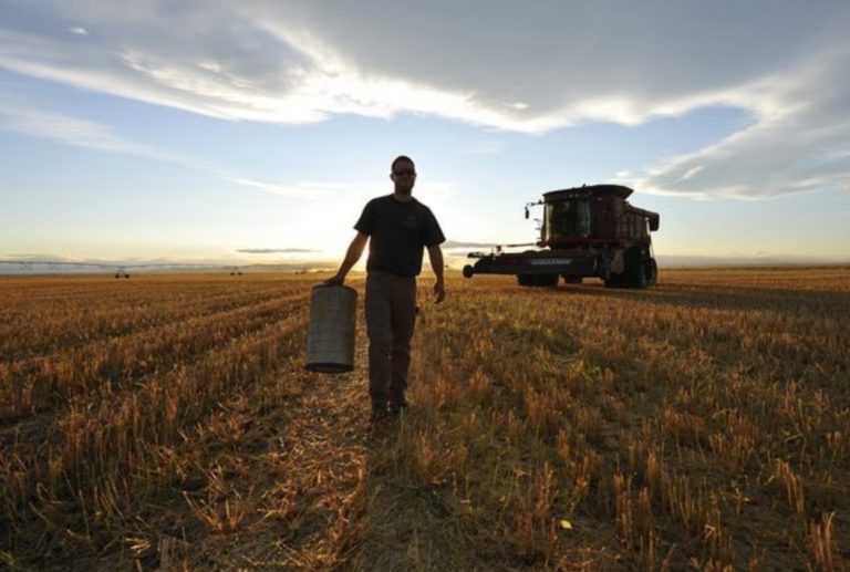 Crece la bronca en el campo