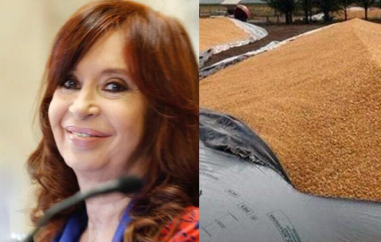 Cristina Kirchner celebró un chiste sobre los ataques a las silobolsas