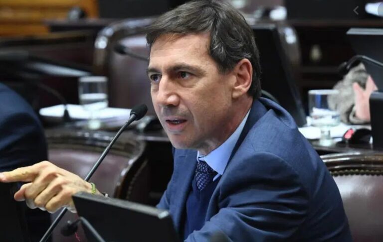 “Es una ofensa”: el descargo de Naidenoff contra los cambios de CFK en el Senado