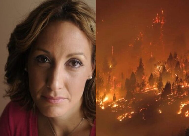 Arietto pide que detengan a los usurpadores y quemadores de la Patagonia