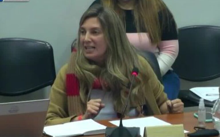 El discurso viral de una diputada del PRO: “Solo se preocupan por su impunidad”