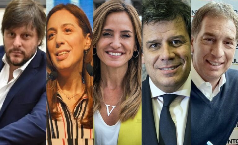Llegaron las PASO, la primera instancia para determinar el futuro del Congreso