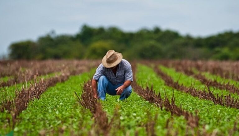 La esperanza se siembra