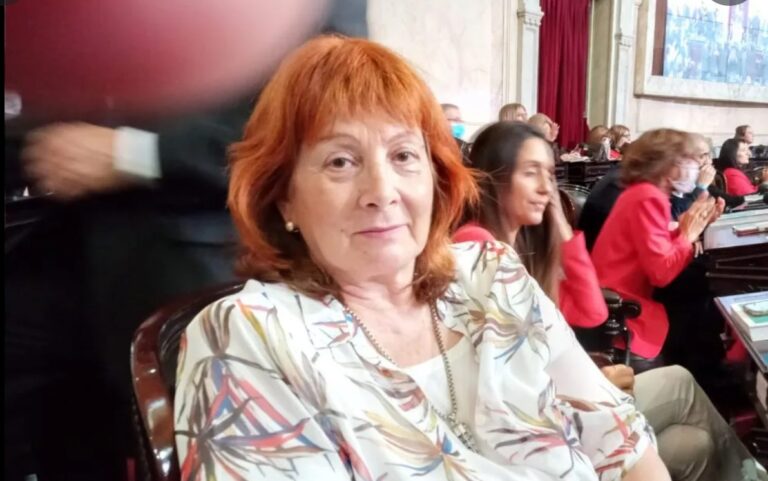 Una diputada K llamó “salame” a Martín Tetaz cuando se debatía el acuerdo con el FMI