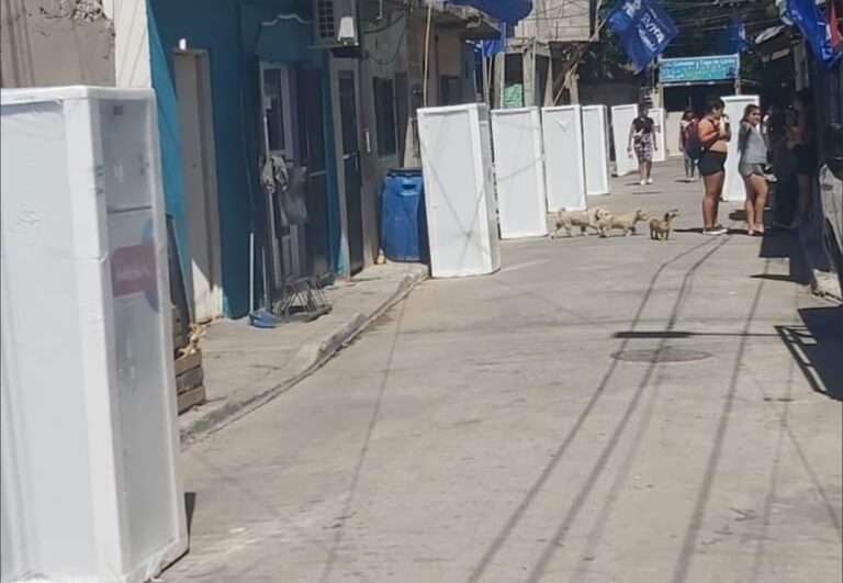 Un distrito K comenzó a regalar heladeras para ganar votos