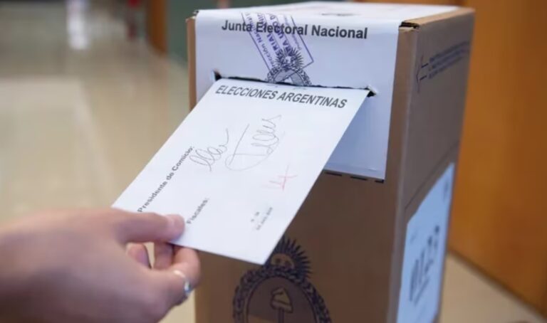 Votar para curar esta democracia enferma