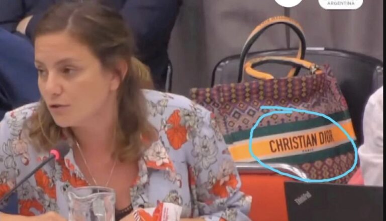 Diputada K pide apostar a la industria nacional y usa una cartera importada de 3.600 euros
