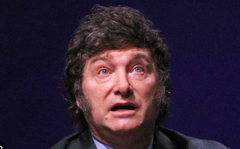 Milei es el mayor opositor a su propio gobierno