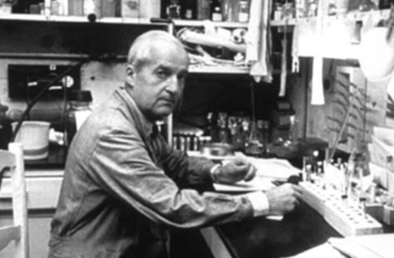 Llenar el país de Leloir