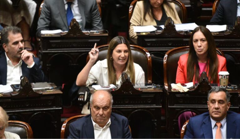 La bronca de Lospennato, autora del proyecto de Ficha Limpia: “Festejan los delincuentes”