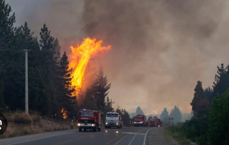 “Golpistas del fuego”, el Gobierno culpó a los mapuches de los incendios en la Patagonia
