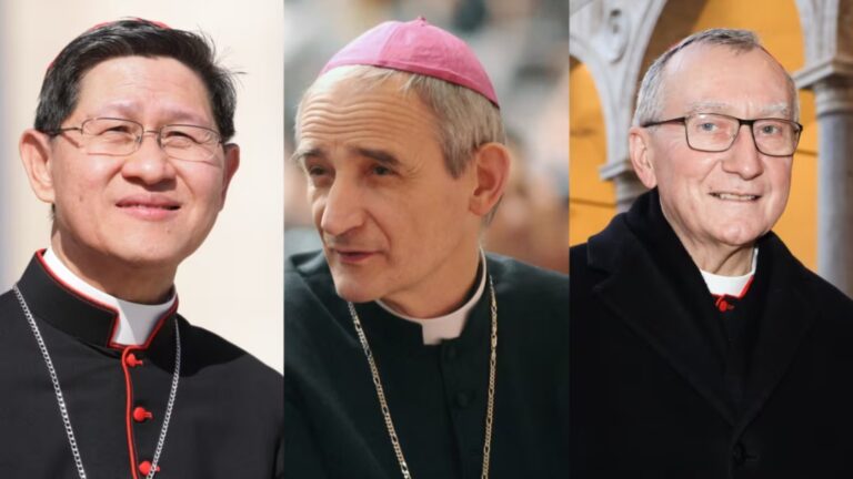 Los principales candidatos a suceder al Papa Francisco y cómo será la elección