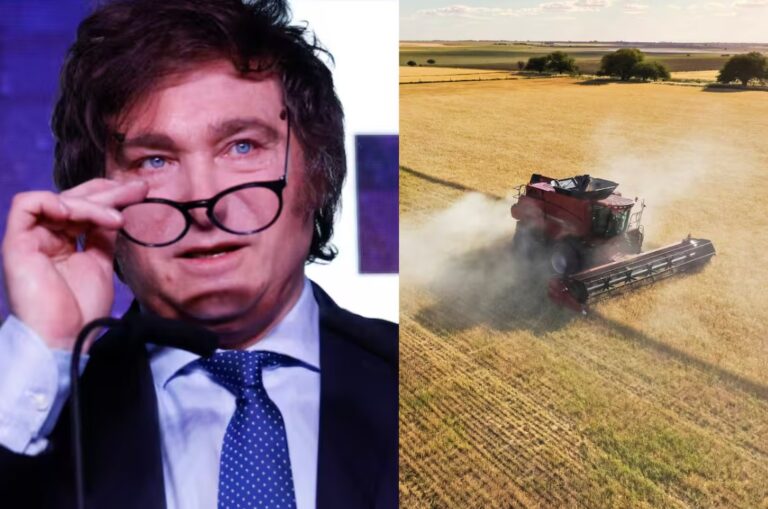 En busca de dólares, el Gobierno elimina las retenciones para todos los granos hasta el 31 de octubre