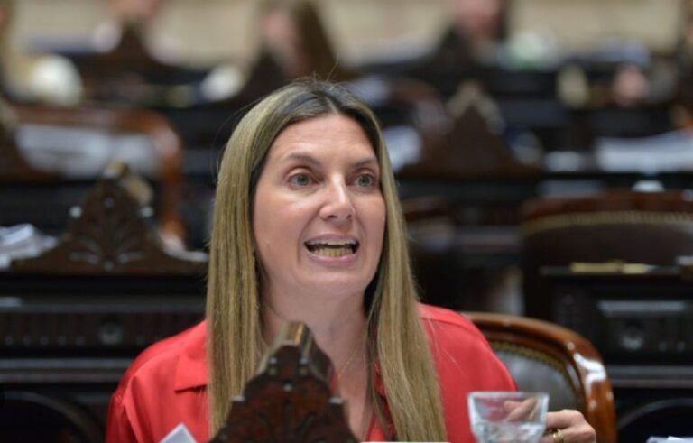 “No vamos a parar hasta que los corruptos no ganen más”, la furia de Lospennato tras el revés a la ley de Ficha Limpia