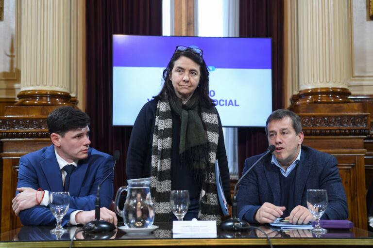 Polémicos dichos de una senadora: “No creo que los niños tengan derecho a venir al Garrahan a ser curados”