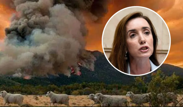 Incendios en la Patagonia: Villarruel buscará agravar las penas contra quienes inician el fuego