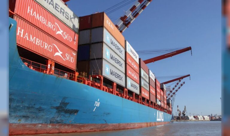 Más de US$ 5.000 millones: a qué se debe el fuerte salto de las exportaciones argentinas a Europa